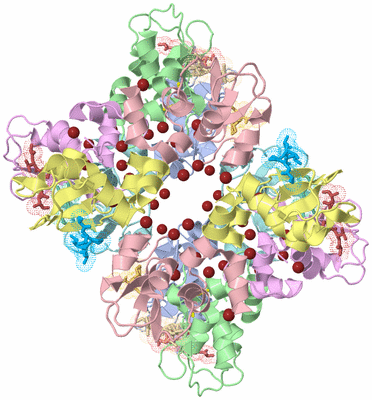 Image Biological Unit 2