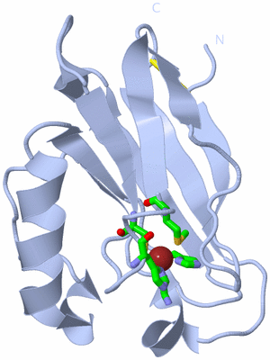 Image Biol. Unit 1 - sites