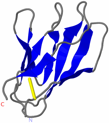 Image NMR Structure - model 1