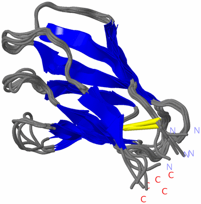 Image NMR Structure - all models