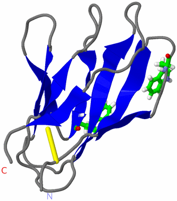 Image NMR Structure - model 1, sites