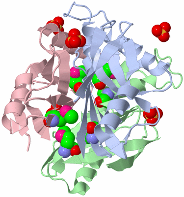 Image Asym./Biol. Unit