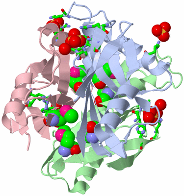 Image Asym./Biol. Unit - sites