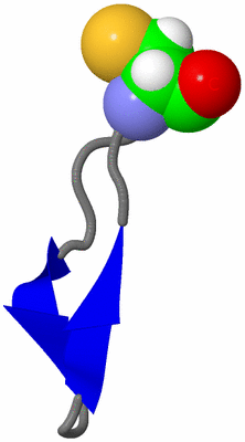 Image NMR Structure - model 1