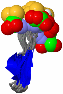 Image NMR Structure - all models