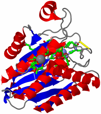 Image Asym./Biol. Unit - sites