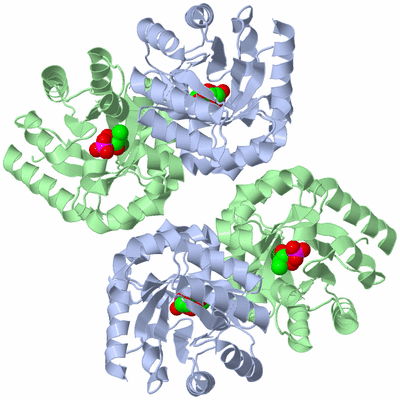 Image Biological Unit 2