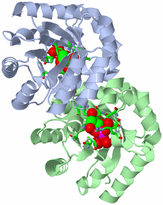 Image Asym. Unit - sites