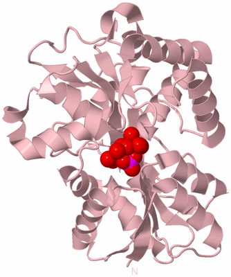 Image Biological Unit 3