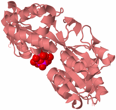 Image Biological Unit 8