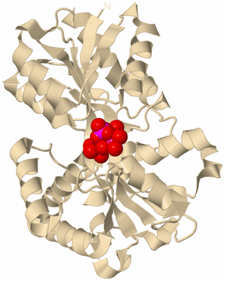 Image Biological Unit 9