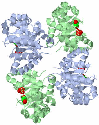 Image Biological Unit 1