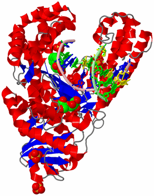 Image Asym./Biol. Unit