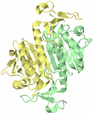 Image Biological Unit 2