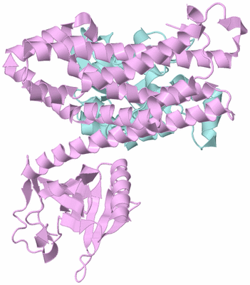 Image Biological Unit 2