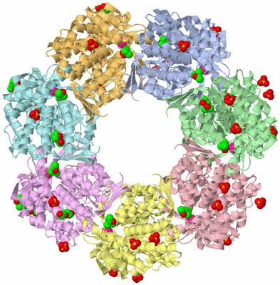 Image Biological Unit 1