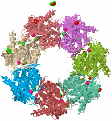 Image Biological Unit 2