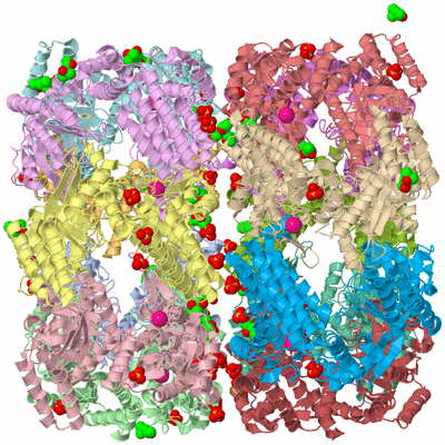 Image Biological Unit 3