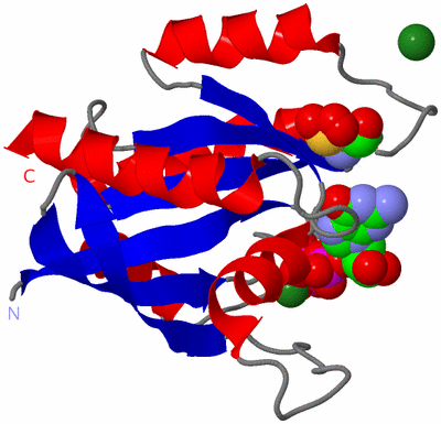 Image Asym./Biol. Unit