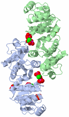 Image Biological Unit 1