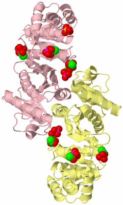 Image Biological Unit 2