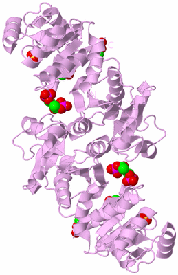 Image Biological Unit 3