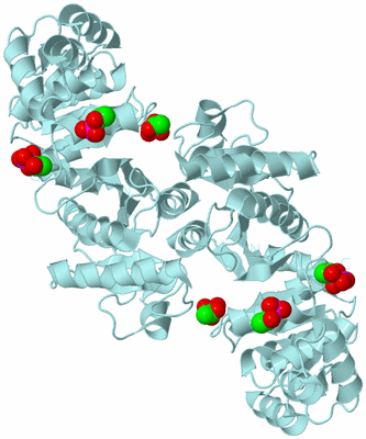 Image Biological Unit 4