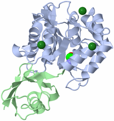 Image Biological Unit 1