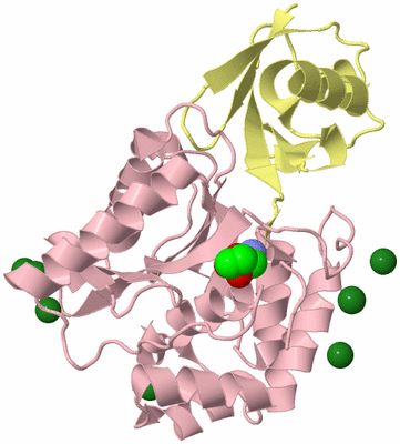 Image Biological Unit 2