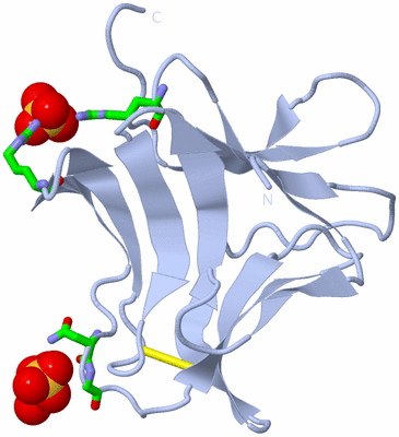 Image Biol. Unit 1 - sites