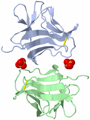 Image Biological Unit 5