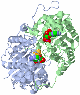 Image Asym./Biol. Unit