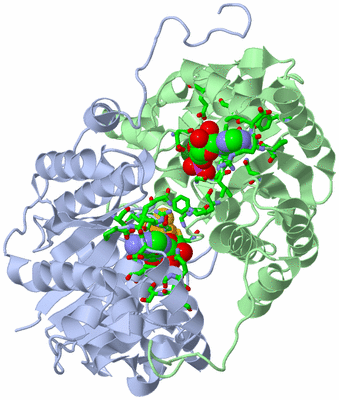 Image Asym./Biol. Unit - sites