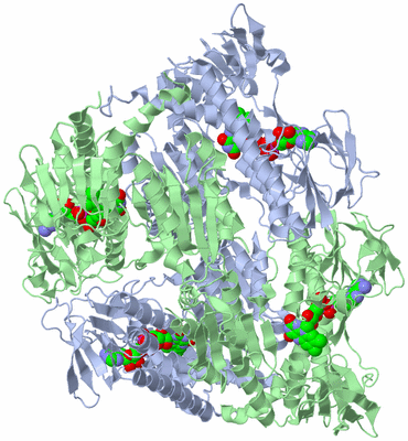 Image Biological Unit 1