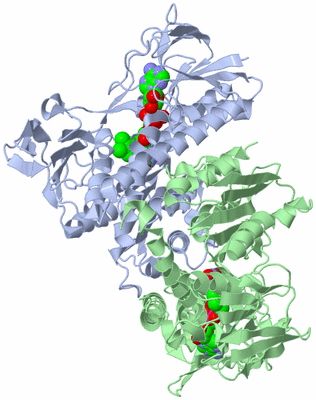 Image Biological Unit 2