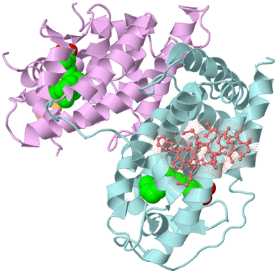 Image Biological Unit 2