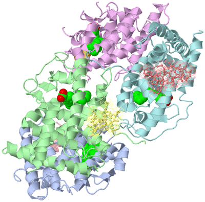 Image Biological Unit 3