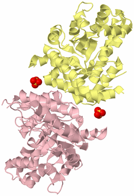 Image Biological Unit 2