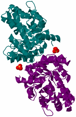 Image Biological Unit 3