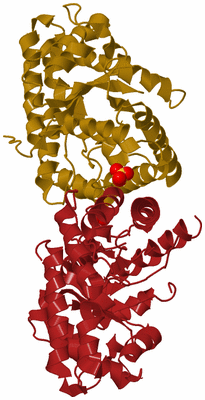 Image Biological Unit 4