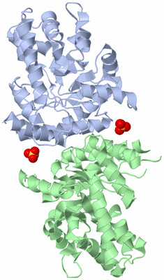 Image Biological Unit 1