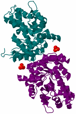 Image Biological Unit 3