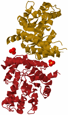 Image Biological Unit 4