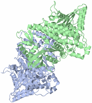 Image Biological Unit 1