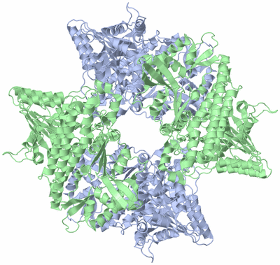 Image Biological Unit 2