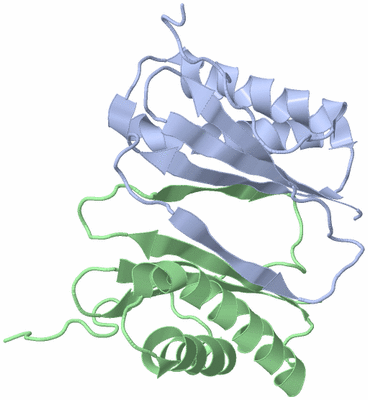 Image NMR Structure - model 1