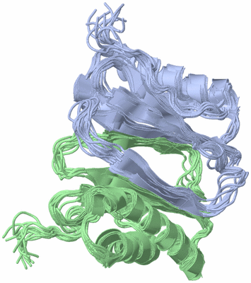 Image NMR Structure - all models