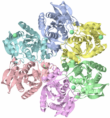 Image Asym./Biol. Unit