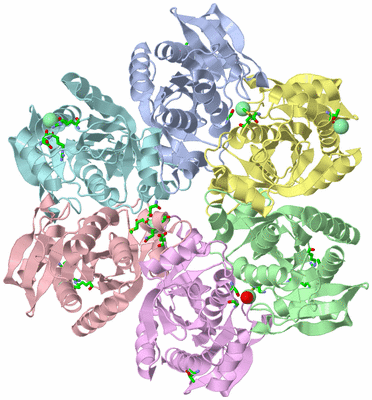 Image Asym./Biol. Unit - sites