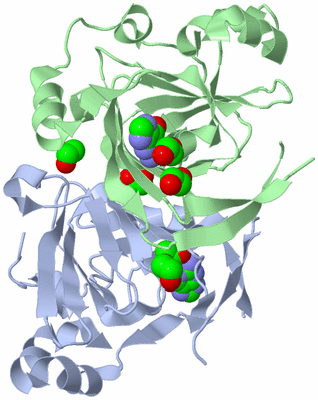 Image Biological Unit 1